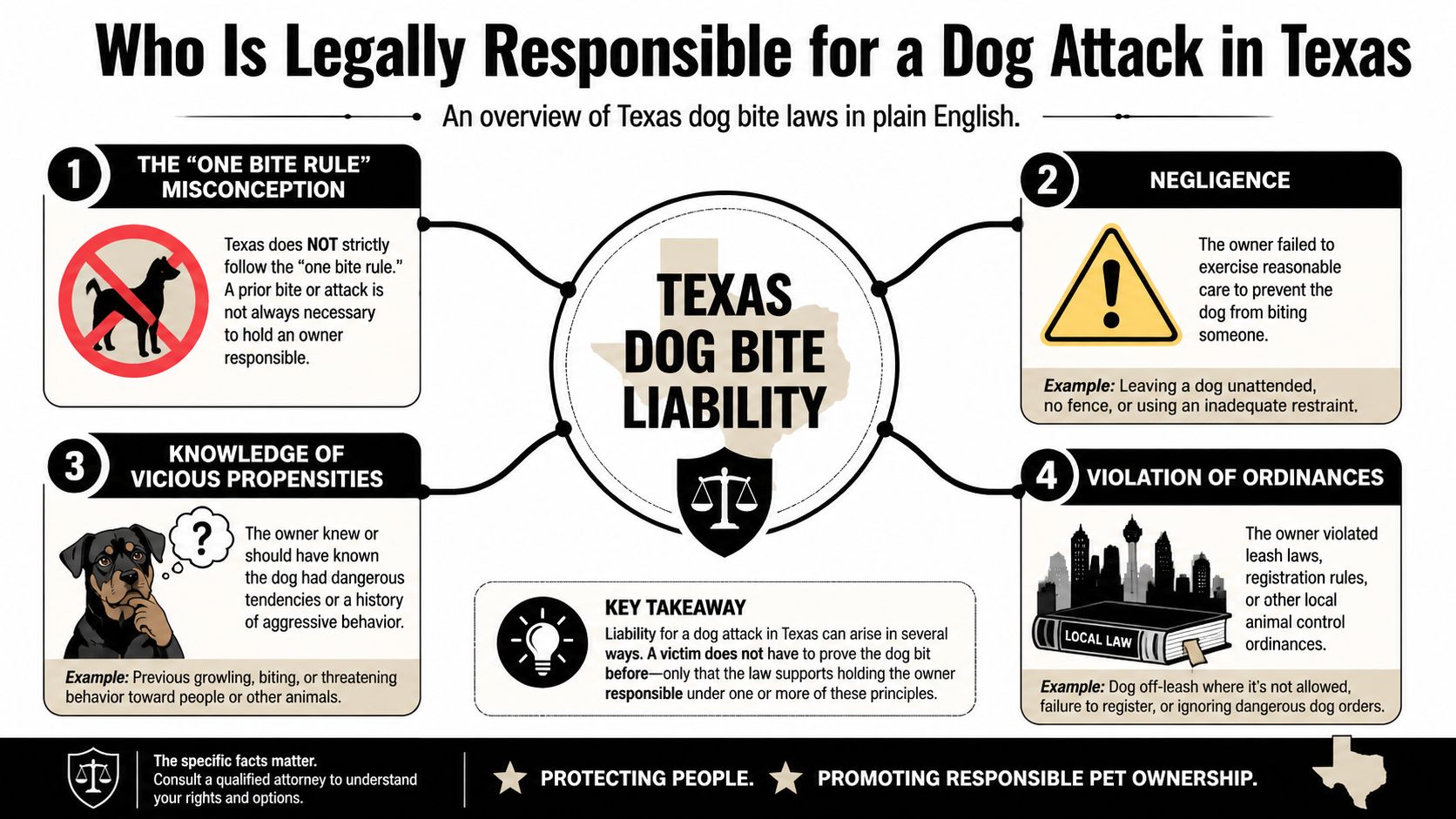 An infographic explaining Texas dog bite laws, liability, negligence, and responsible pet ownership guidelines.