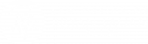 Logo White